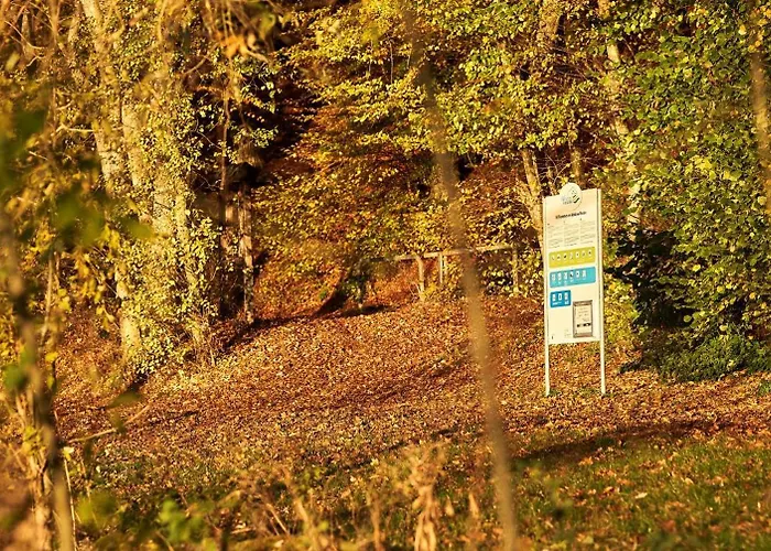 Сasa de vacaciones Steineck *